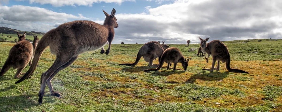 Australia