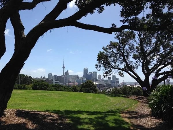 Auckland in a Day with a private guide