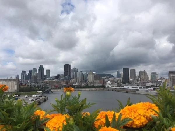 Classic Montreal Highlights Walking Tour