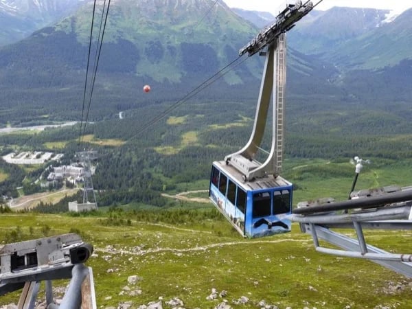 Full Day Anchorage Highlights Tour