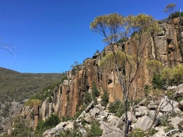 Mount Wellington Gourmet Picnic, Half day tour with private transportation