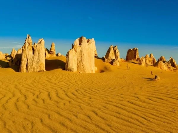 Pinnacles Desert Full Day Private Tour
