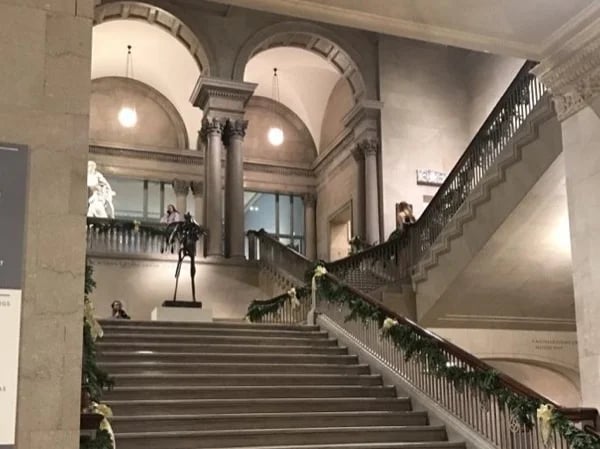Cultural and Museum Chicago Tour