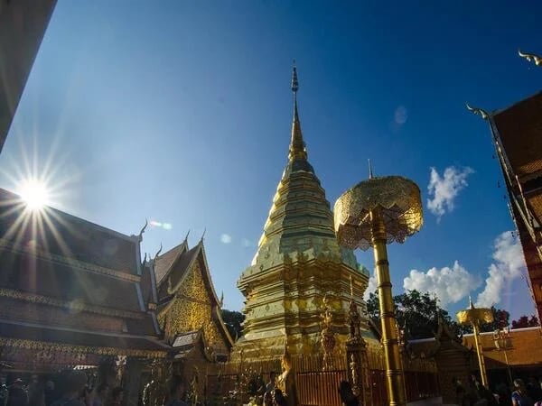 Discover famous Doi Suthep Temple and enjoy in tastes of Thai Food