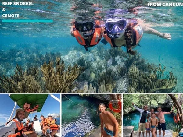 Half Day Reef Snorkeling and Cenote