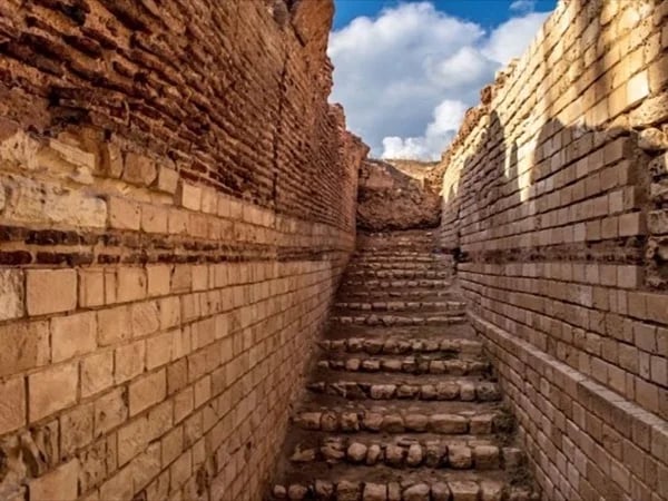 Highlights of Alexandria - Private City Tour