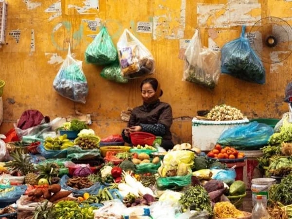 Hanoi Highlights: Private Tour with your local guide