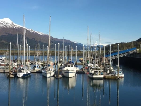 Juneau Road Trip and Harbor Tour - Half Day
