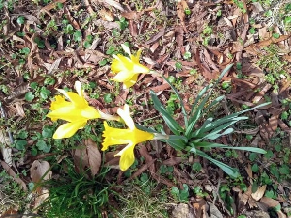 The Historic Bartram's Garden on Lenape Land.